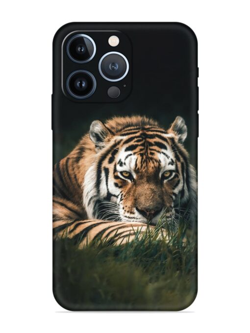 Tiger Soft Silicone Case for Apple Iphone 13 Pro Zapvi