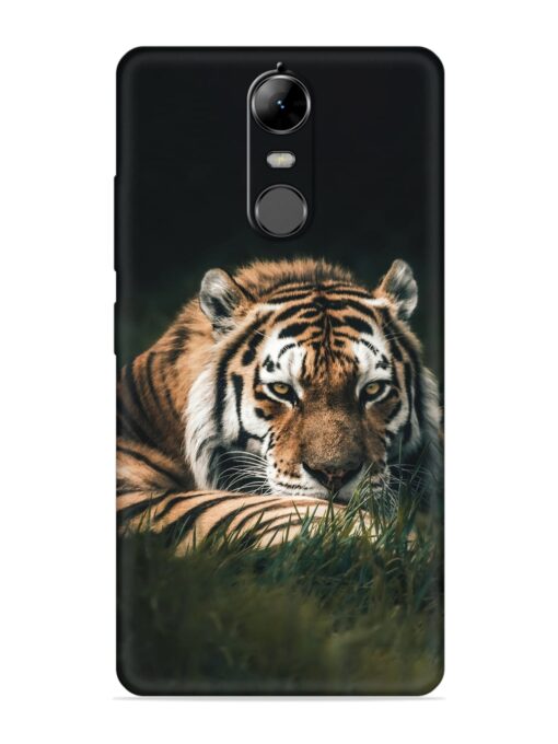 Tiger Soft Silicone Case for Lenovo K5 Note Zapvi