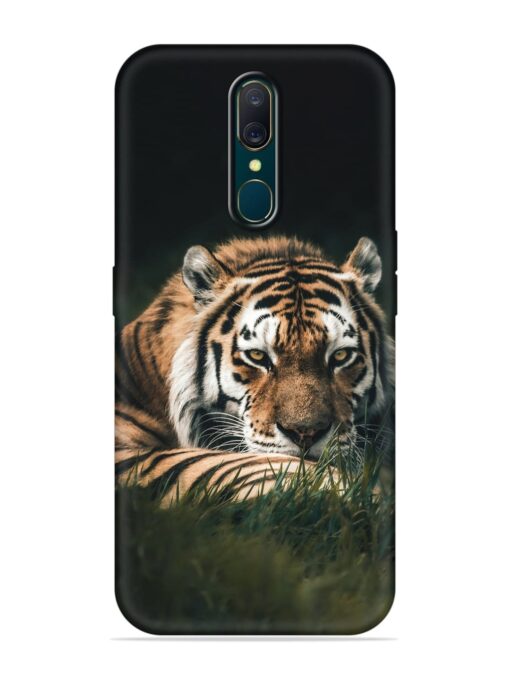 Tiger Soft Silicone Case for Oppo F11 Zapvi