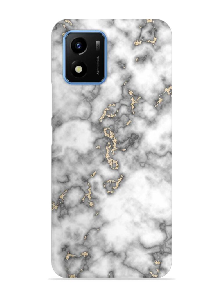Gray And Gold Marble Snap Case for Vivo Y01 Zapvi