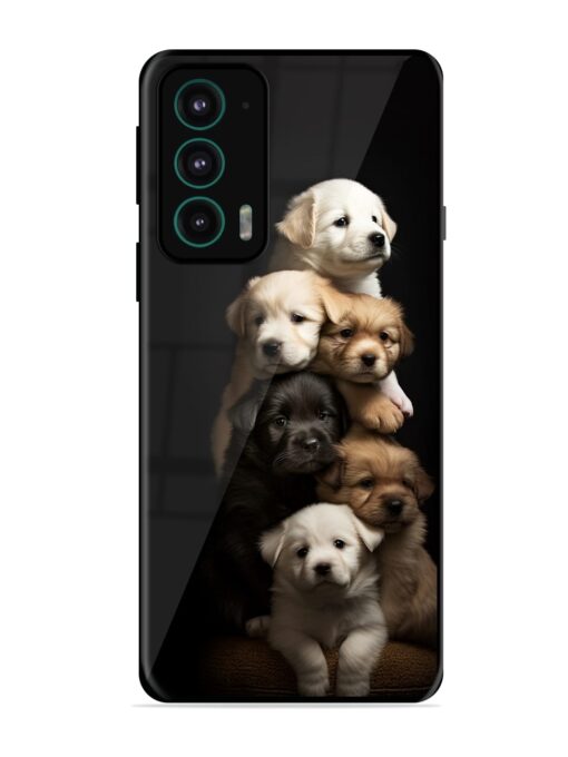Cute Baby Dogs Glossy Metal Phone Cover for Motorola Moto Edge 20 Zapvi