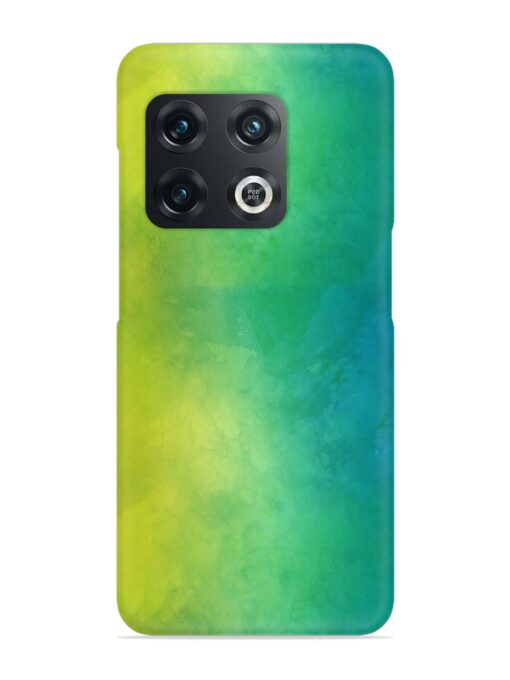 Yellow Green Gradient Snap Case for Oneplus 10 Pro (5G) Zapvi