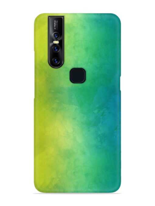 Yellow Green Gradient Snap Case for Vivo V15 Zapvi