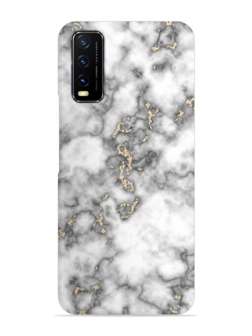 Gray And Gold Marble Snap Case for Vivo Y20T Zapvi