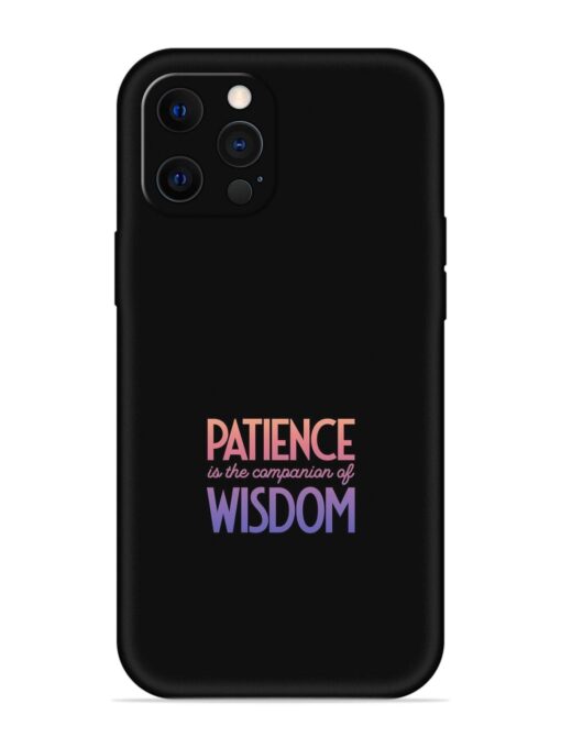 Patience Is The Embossed Soft Silicone Case for Apple Iphone 12 Pro Zapvi