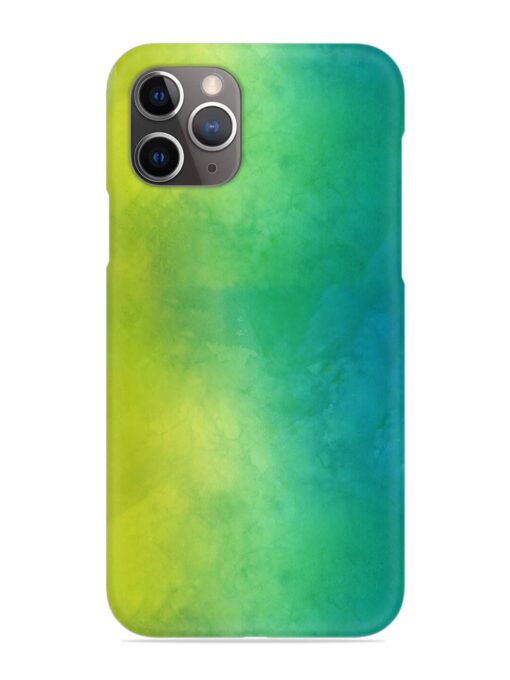 Yellow Green Gradient Snap Case for Apple Iphone 11 Pro Zapvi