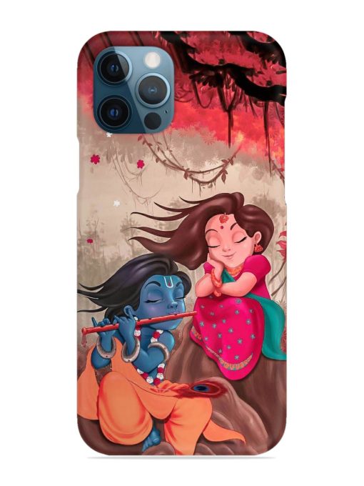 Radhe Krishna Water Art Snap Case for Apple Iphone 12 Pro Zapvi