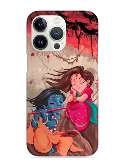 Radhe Krishna Water Art Snap Case for Apple Iphone 13 Pro Max