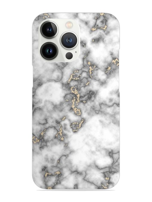 Gray And Gold Marble Snap Case for Apple Iphone 13 Pro Max