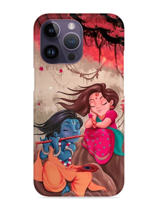 Radhe Krishna Water Art Snap Case for Apple Iphone 14 Pro Zapvi