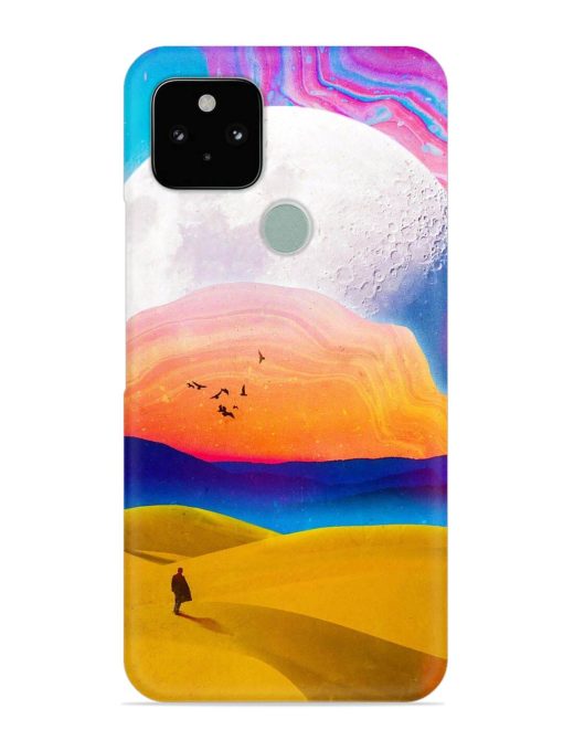 Sandy Desert Snap Case for Google Pixel 5 Zapvi