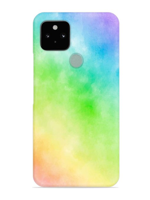 Watercolor Mixture Snap Case for Google Pixel 5 Zapvi