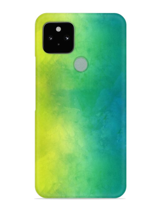 Yellow Green Gradient Snap Case for Google Pixel 5 Zapvi