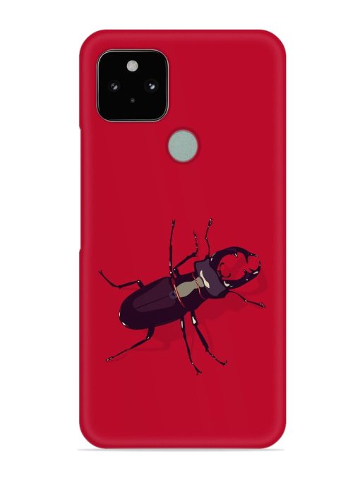 Beetles Snap Case for Google Pixel 5