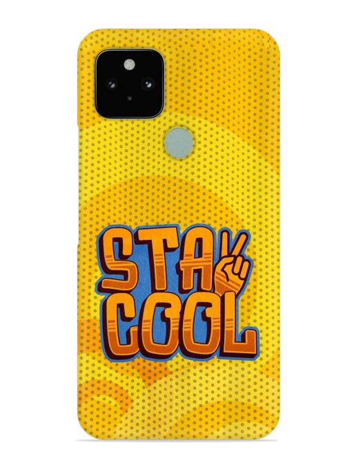 Stay Cool Snap Case for Google Pixel 5 Zapvi