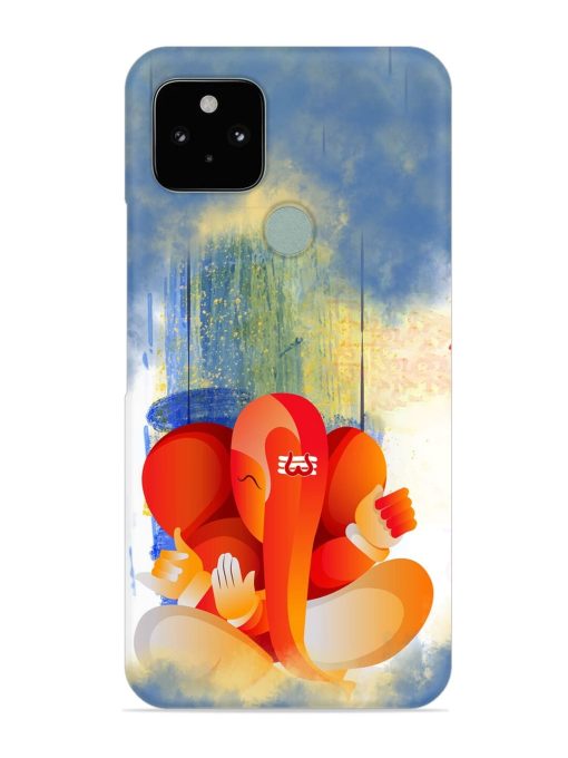 Vector Illustration Lord Snap Case for Google Pixel 5 Zapvi