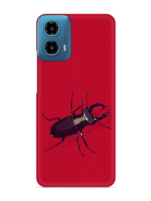 Beetles Snap Case for Motorola Moto G34 (5G)