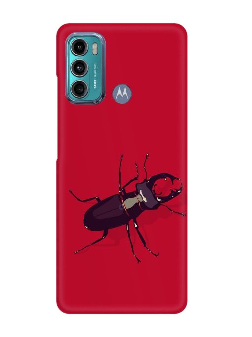 Beetles Snap Case for Motorola Moto G40 Fusion Zapvi