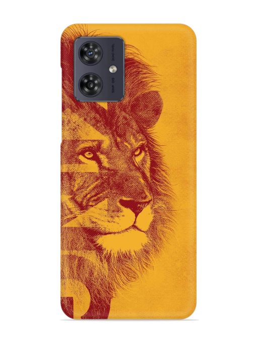 Gold Lion Crown Art Snap Case for Motorola Moto G54 (5G) Zapvi