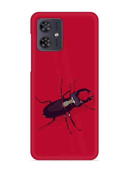 Beetles Snap Case for Motorola Moto G64 (5G)