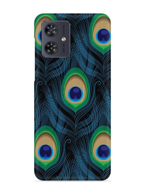 Seamless Pattern Peacock Snap Case for Motorola Moto G64 (5G) Zapvi