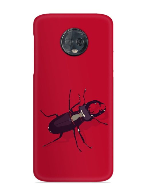 Beetles Snap Case for Motorola Moto G6 Plus Zapvi