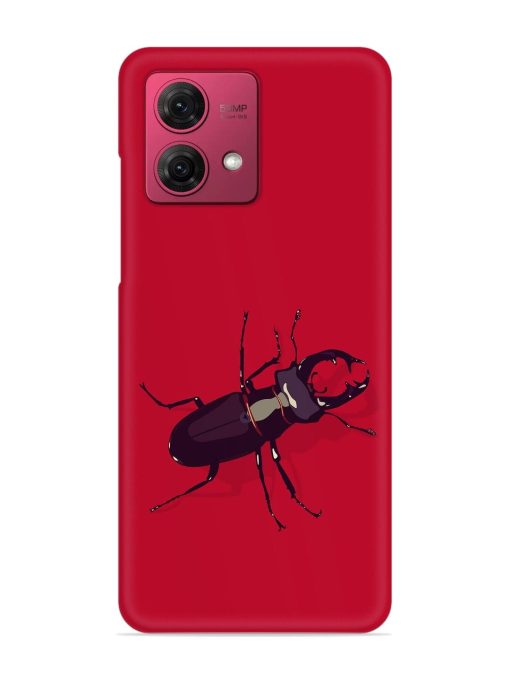 Beetles Snap Case for Motorola Moto G84 (5G) Zapvi