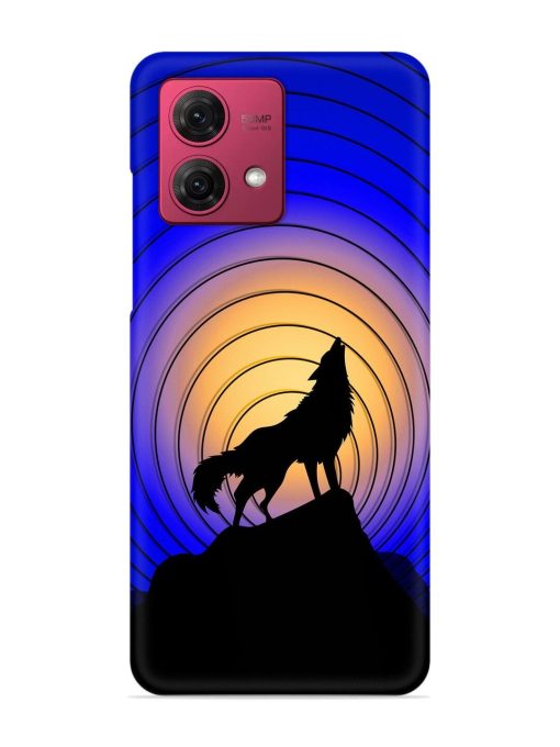 Fox Roaring Design Snap Case for Motorola Moto G84 (5G) Zapvi