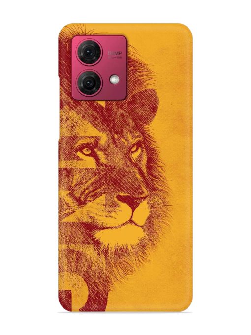 Gold Lion Crown Art Snap Case for Motorola Moto G84 (5G) Zapvi