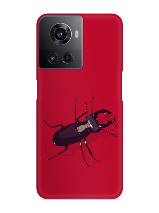 Beetles Snap Case for Oneplus 10R (5G) Zapvi