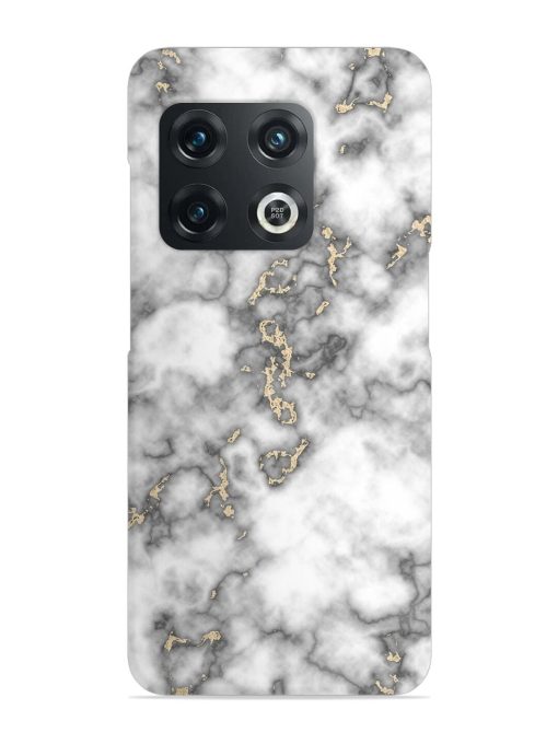 Gray And Gold Marble Snap Case for Oneplus 10T (5G) Zapvi