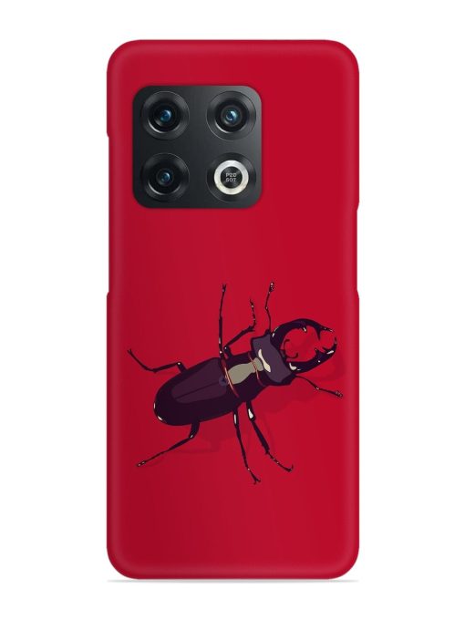 Beetles Snap Case for Oneplus 10T (5G) Zapvi