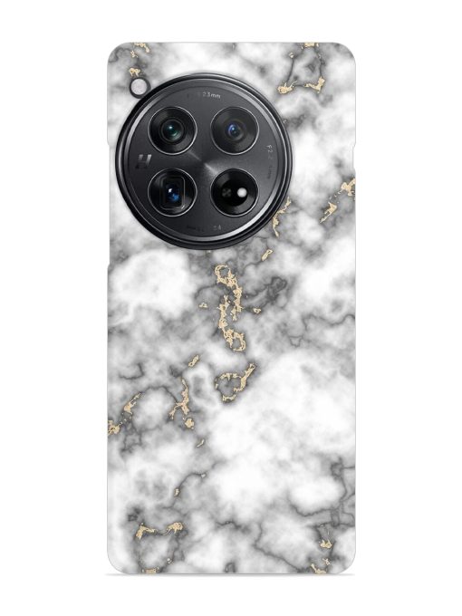 Gray And Gold Marble Snap Case for Oneplus 12 (5G) Zapvi