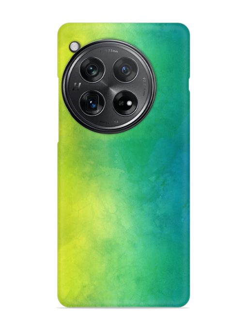 Yellow Green Gradient Snap Case for Oneplus 12 (5G)