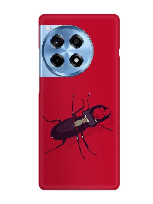 Beetles Snap Case for Oneplus 12R (5G) Zapvi