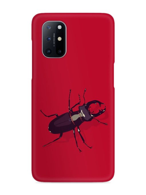 Beetles Snap Case for Oneplus 8T (5G)