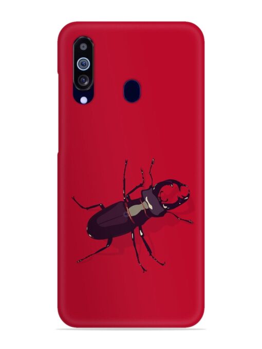 Beetles Snap Case for Samsung Galaxy M40 Zapvi