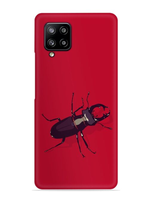 Beetles Snap Case for Samsung Galaxy M42 (5G)