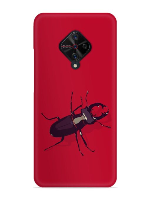 Beetles Snap Case for Vivo S1 Pro Zapvi