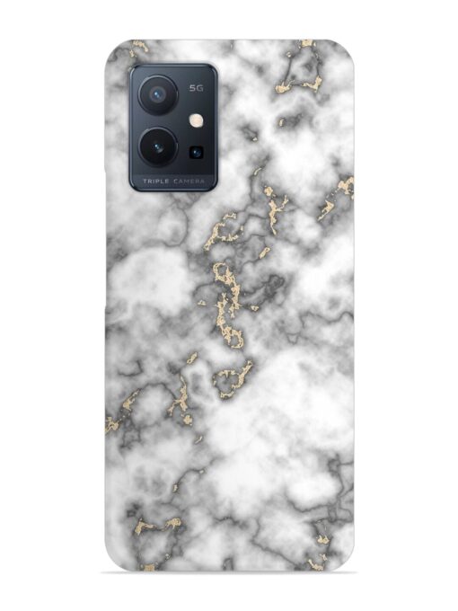 Gray And Gold Marble Snap Case for Vivo T1 (5G) Zapvi