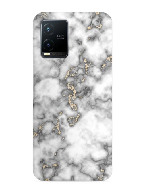 Gray And Gold Marble Snap Case for Vivo T1X Zapvi