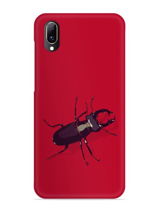 Beetles Snap Case for Vivo V11 Pro Zapvi