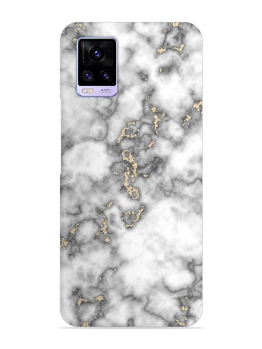 Gray And Gold Marble Snap Case for Vivo V20 Zapvi