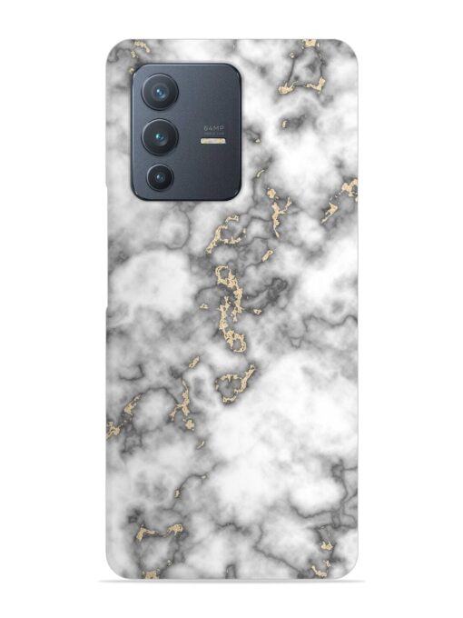 Gray And Gold Marble Snap Case for Vivo V23 (5G) Zapvi