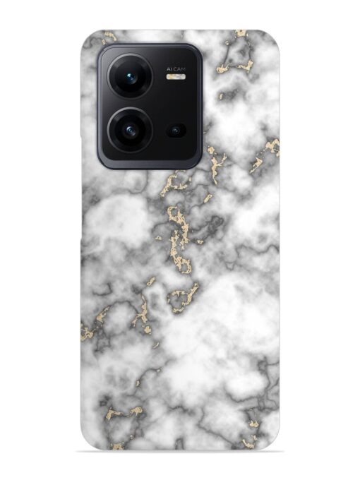 Gray And Gold Marble Snap Case for Vivo V25 (5G) Zapvi