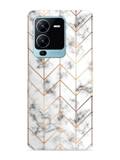 Vector Marble Texture Snap Case for Vivo V25 Pro (5G)