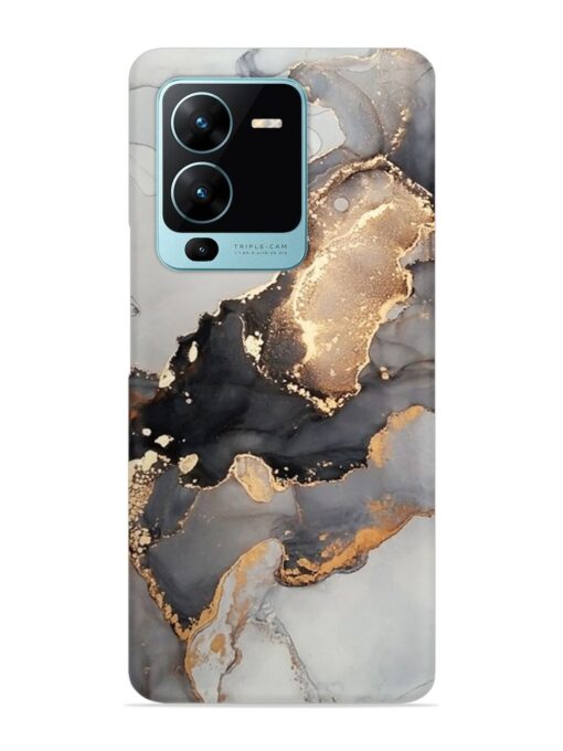 Luxury Abstract Fluid Snap Case for Vivo V25 Pro (5G) Zapvi