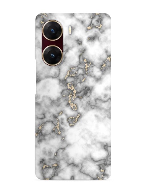 Gray And Gold Marble Snap Case for Vivo V29E (5G) Zapvi