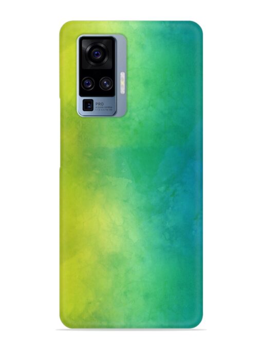 Yellow Green Gradient Snap Case for Vivo X50 Pro Zapvi