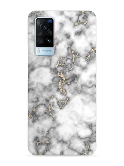 Gray And Gold Marble Snap Case for Vivo X60 Zapvi